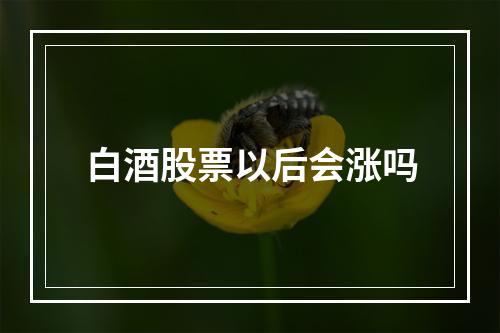 白酒股票以后会涨吗