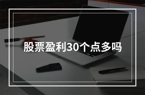 股票盈利30个点多吗