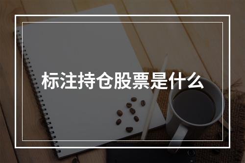 标注持仓股票是什么