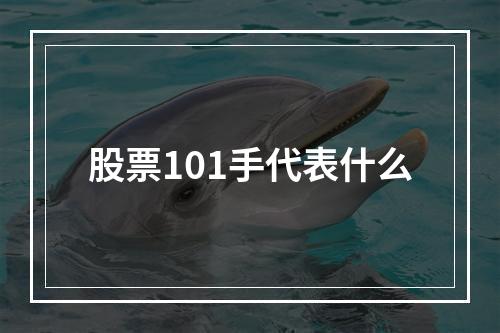 股票101手代表什么