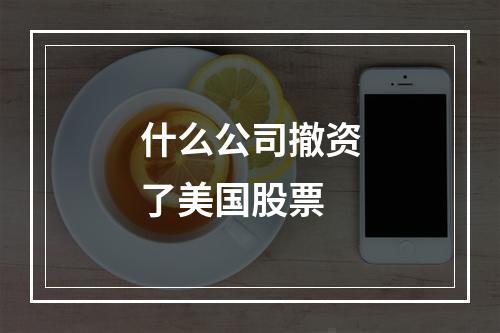 什么公司撤资了美国股票