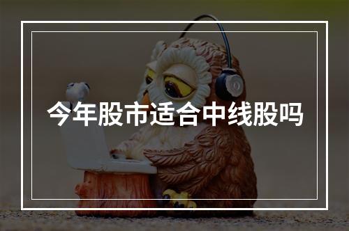 今年股市适合中线股吗