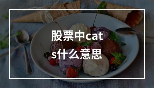 股票中cats什么意思