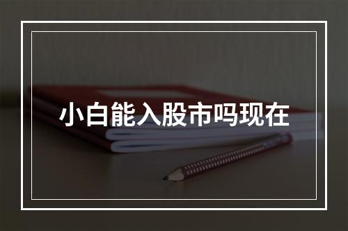 小白能入股市吗现在