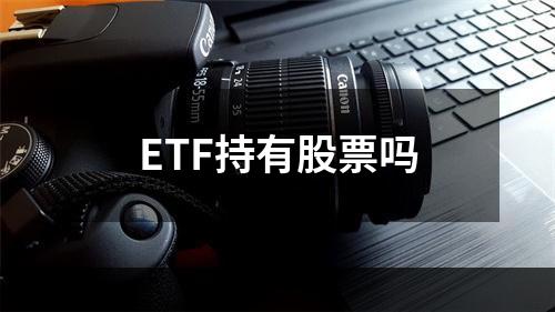 ETF持有股票吗