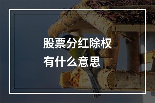 股票分红除权有什么意思