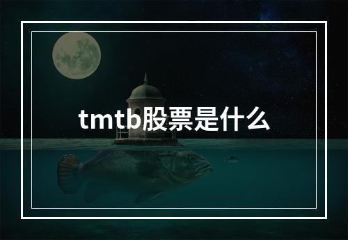 tmtb股票是什么