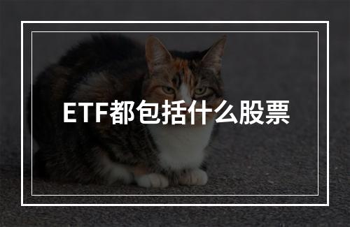 ETF都包括什么股票