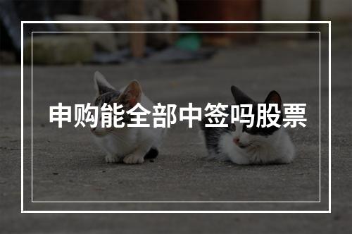 申购能全部中签吗股票