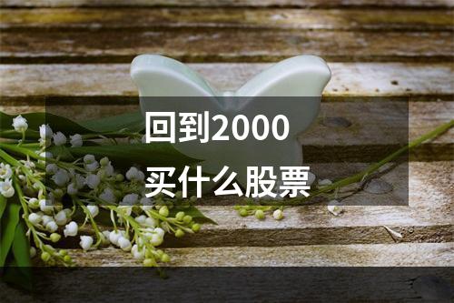 回到2000买什么股票