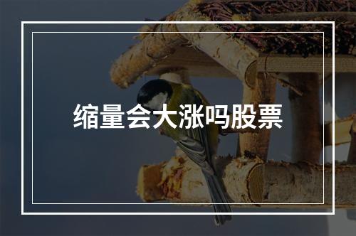 缩量会大涨吗股票