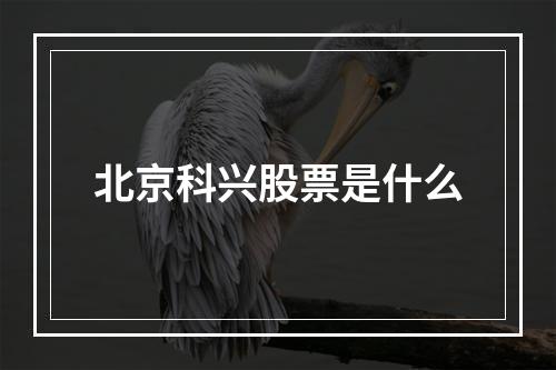 北京科兴股票是什么