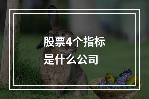 股票4个指标是什么公司