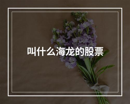 叫什么海龙的股票