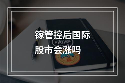 镓管控后国际股市会涨吗