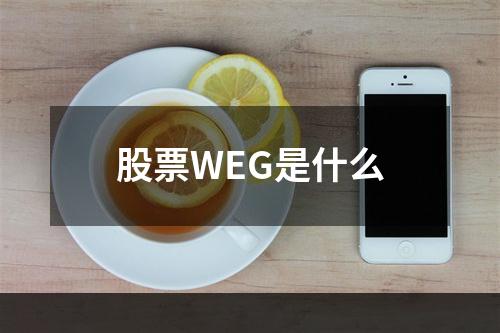 股票WEG是什么