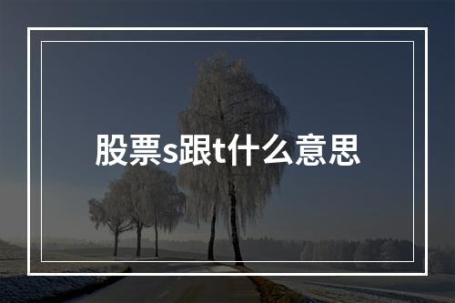 股票s跟t什么意思