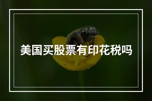 美国买股票有印花税吗