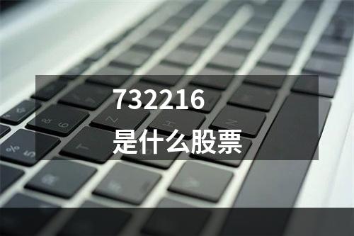 732216是什么股票