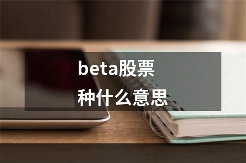 beta股票种什么意思