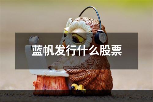 蓝帆发行什么股票