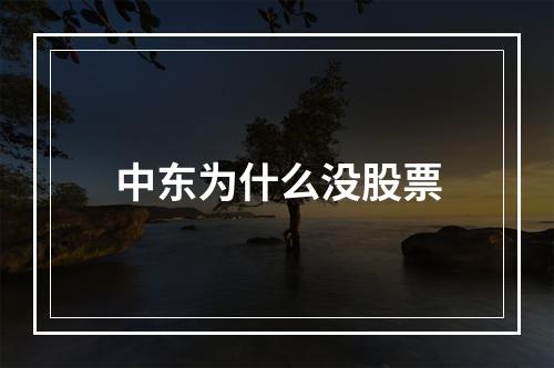 中东为什么没股票