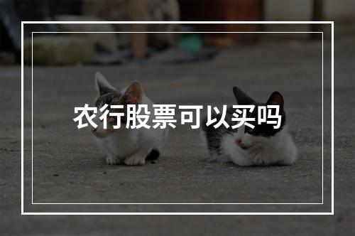 农行股票可以买吗