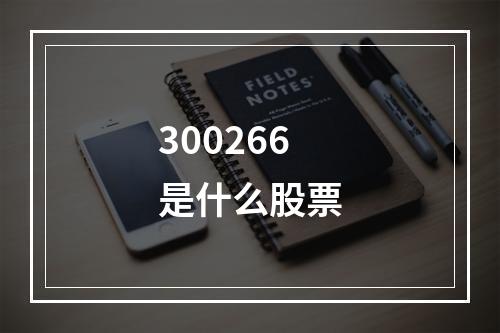 300266是什么股票