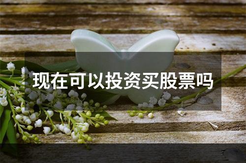 现在可以投资买股票吗