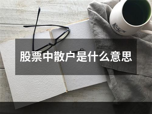 股票中散户是什么意思