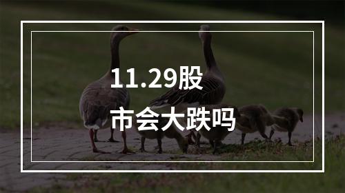 11.29股市会大跌吗