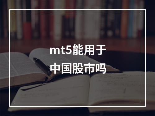 mt5能用于中国股市吗