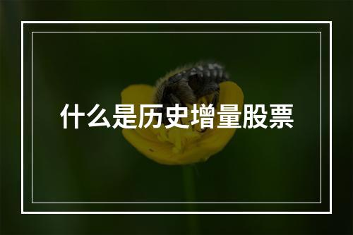 什么是历史增量股票