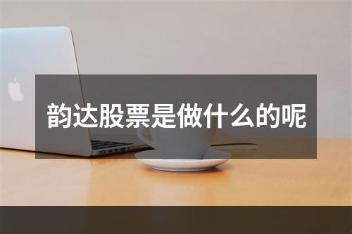 韵达股票是做什么的呢