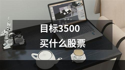 目标3500买什么股票