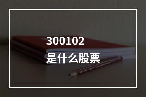 300102是什么股票