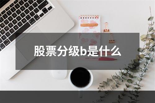 股票分级b是什么