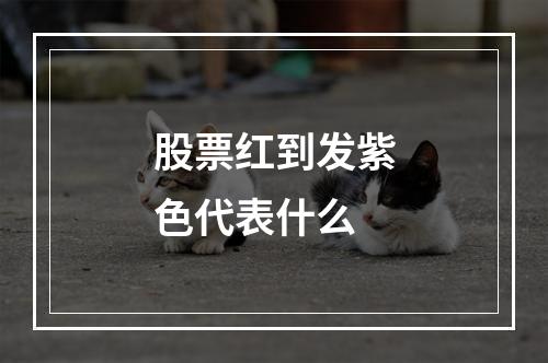 股票红到发紫色代表什么