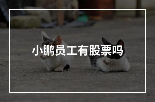 小鹏员工有股票吗