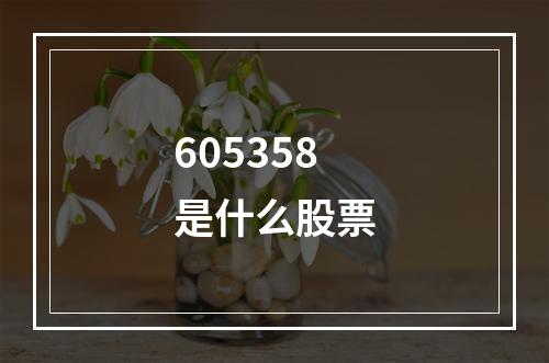 605358是什么股票