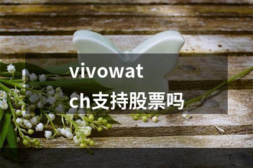 vivowatch支持股票吗