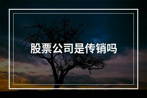 股票公司是传销吗