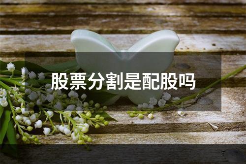 股票分割是配股吗