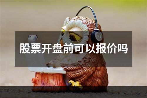 股票开盘前可以报价吗