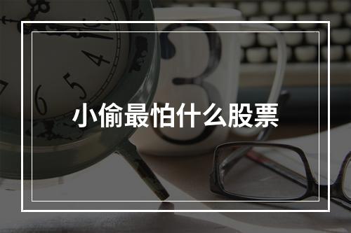 小偷最怕什么股票