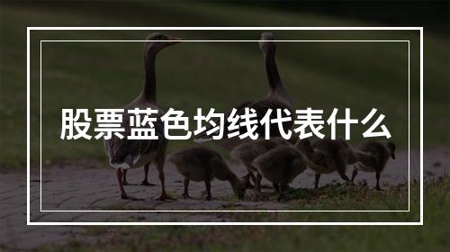 股票蓝色均线代表什么