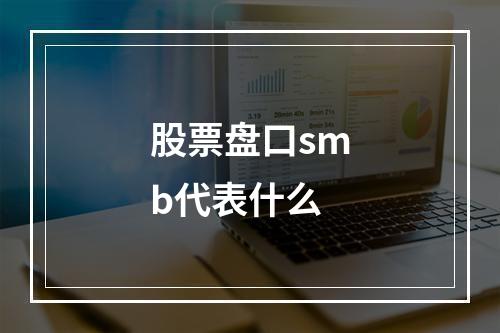 股票盘口smb代表什么