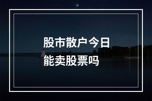 股市散户今日能卖股票吗