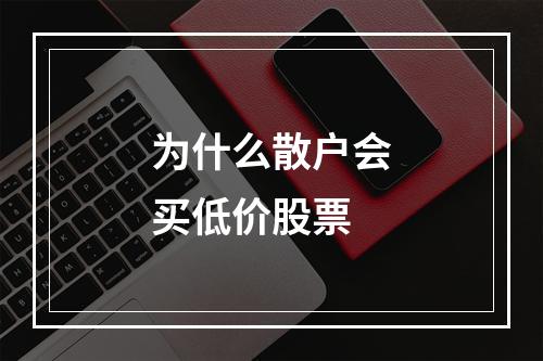 为什么散户会买低价股票