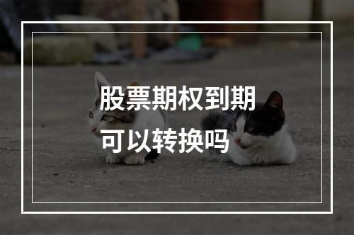 股票期权到期可以转换吗